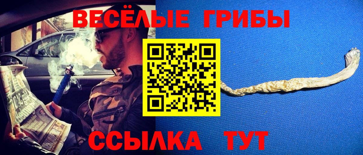 Ишимбай  Галлюциногенные грибы Cubensis  Вход с VPN 